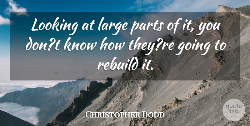 Christopher Dodd Quote About Large, Looking, Parts, Rebuild: Looking At Large Parts Of...