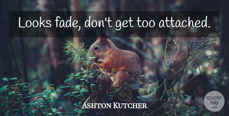 Ashton Kutcher Looks Fade Don T Get Too Attached Quotetab