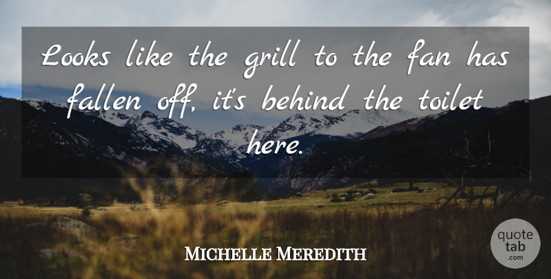 Michelle Meredith Quote About Behind, Fallen, Fan, Grill, Looks: Looks Like The Grill To...
