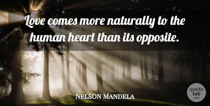 Nelson Mandela Quote About Life, Hate, Heart: Love Comes More Naturally To...