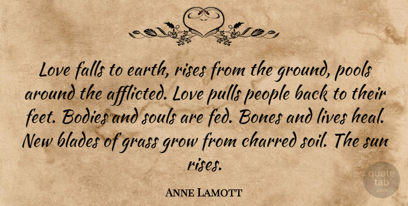 Anne Lamott Quote About Falling In Love, Feet, People: Love Falls To Earth Rises...