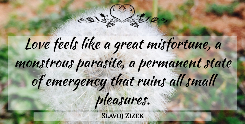 Slavoj Zizek Quote About Small Pleasures, Emergencies, Ruins: Love Feels Like A Great...