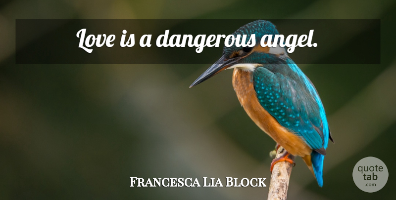 Francesca Lia Block Quote About Love, Angel, Love Is: Love Is A Dangerous Angel...