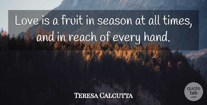Teresa Calcutta Quote About Cute, Fruit, Love, Reach, Season: Love Is A Fruit In...
