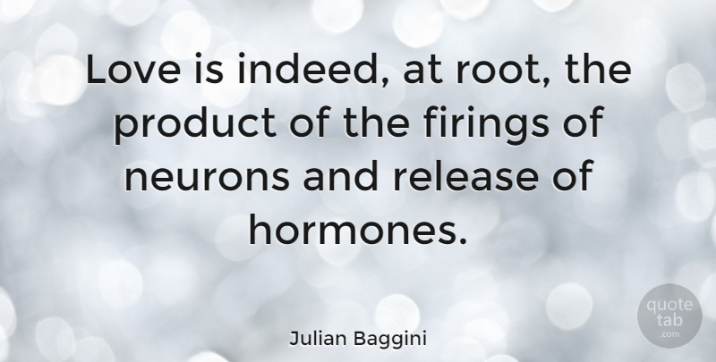 Julian Baggini Quote About Love Is, Roots, Neurons: Love Is Indeed At Root...