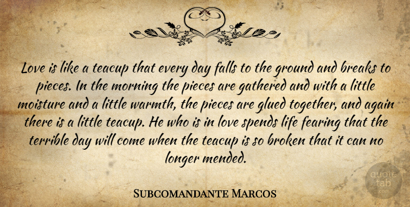 Subcomandante Marcos Quote About Morning, Fall, Love Is: Love Is Like A Teacup...