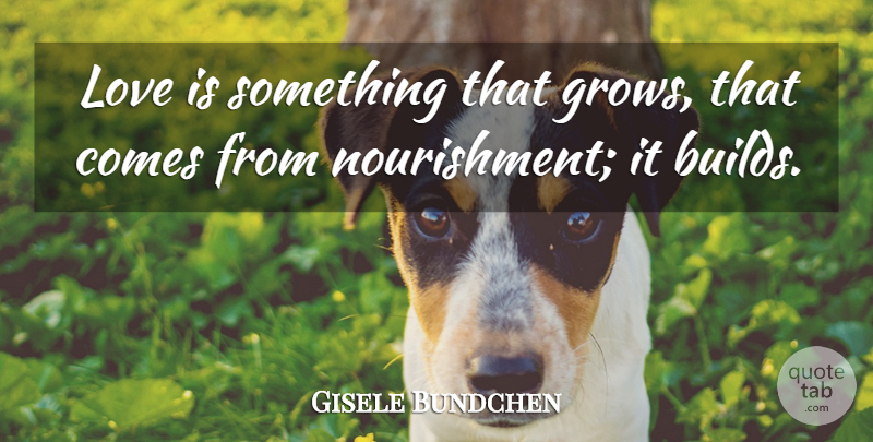 Gisele Bundchen Quote About Love Is, Grows, Nourishment: Love Is Something That Grows...