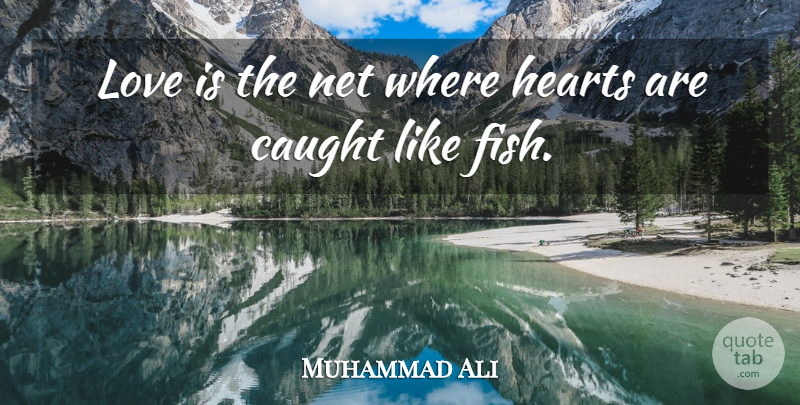 Muhammad Ali Quote About Inspirational, Heart, Love Is: Love Is The Net Where...