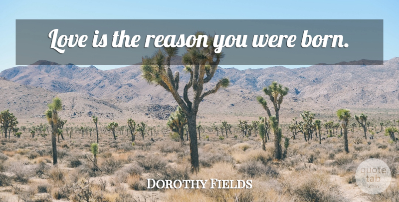 Dorothy Fields Quote About Love Is, Reason, Born: Love Is The Reason You...