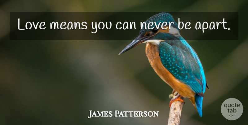 James Patterson Quote About Mean, Love Means: Love Means You Can Never...