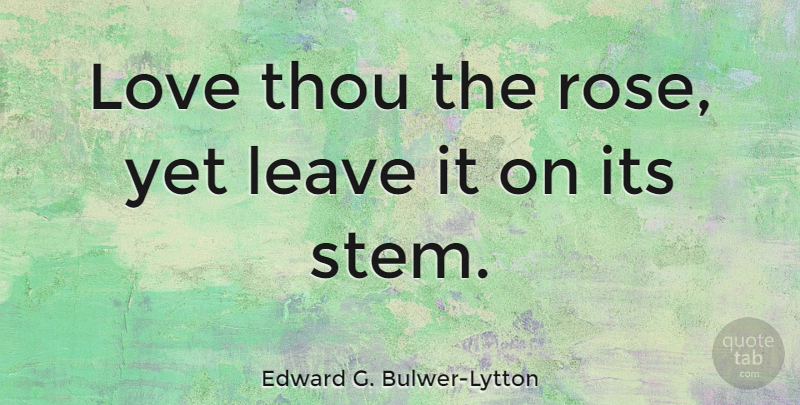 Edward G. Bulwer-Lytton Quote About Leave, Love, Relationship, Thou: Love Thou The Rose Yet...
