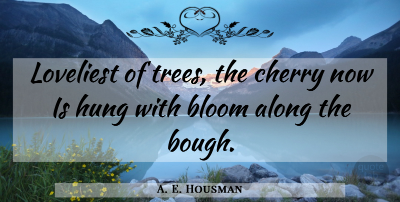 A. E. Housman Quote About Spring, Tree, Cherries: Loveliest Of Trees The Cherry...