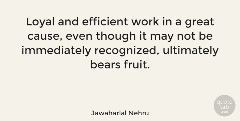 Jawaharlal Nehru Quote About Loyal, May, Fruit: Loyal And Efficient Work In...