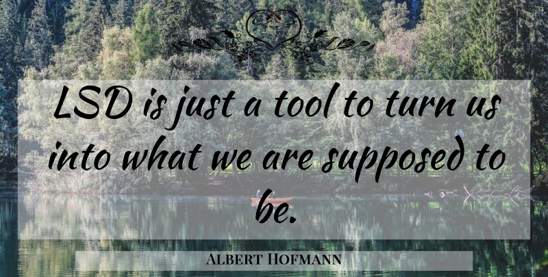 Albert Hofmann Quote About Tools, Lsd, Turns: Lsd Is Just A Tool...