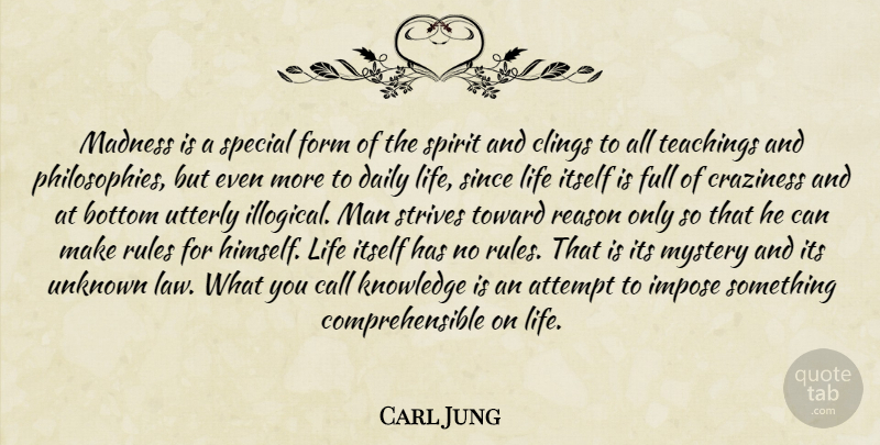 Carl Jung Quote About Philosophy, Teaching, Men: Madness Is A Special Form...