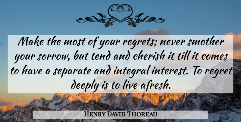 Henry David Thoreau Quote About Moving On, Forgiveness, Regret: Make The Most Of Your...
