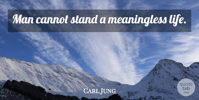 Carl Jung Quote About Men, Dissociation, Meaningless Life: Man Cannot Stand A Meaningless...