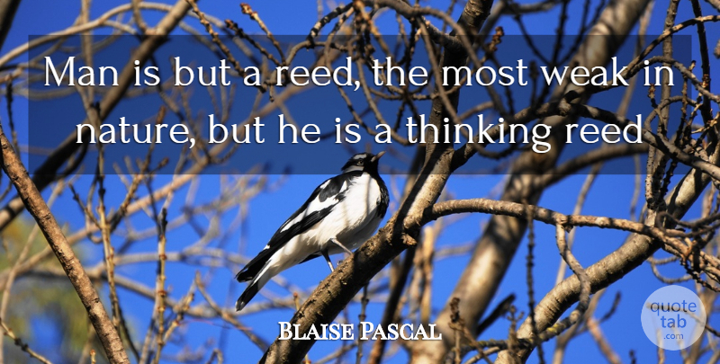 Blaise Pascal Quote About Man, Reed, Thinking, Weak: Man Is But A Reed...