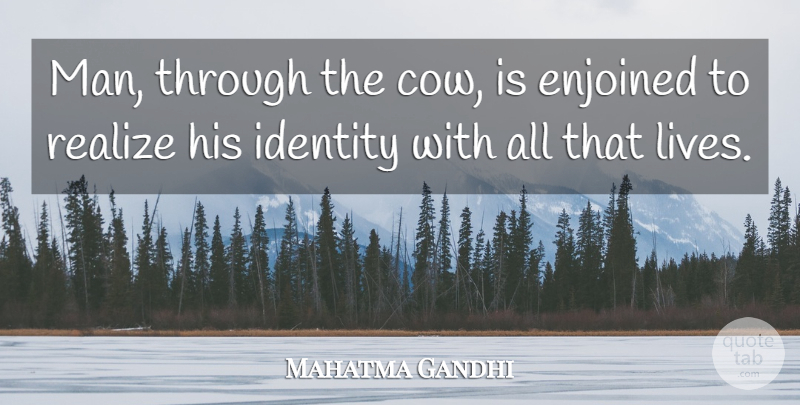 Mahatma Gandhi Quote About Men, Identity, Cows: Man Through The Cow Is...