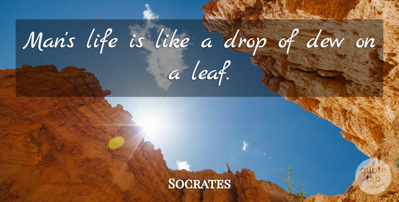 Socrates Quote About Men, Life Is Like, Dew: Mans Life Is Like A...