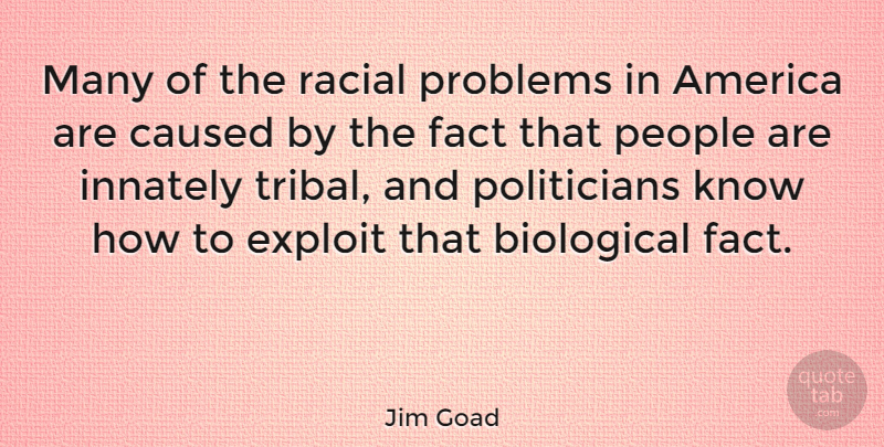 Jim Goad Quote About America, People, Facts: Many Of The Racial Problems...