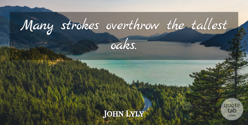 John Lyly Quote About Time, Strokes, Oaks: Many Strokes Overthrow The Tallest...