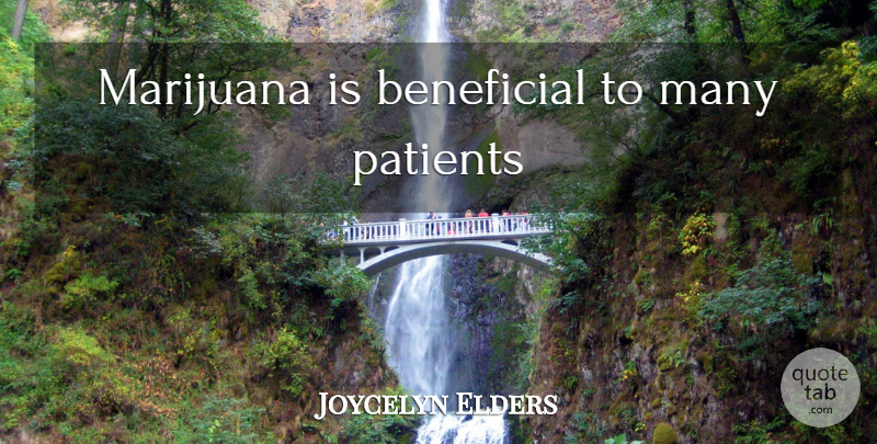 Joycelyn Elders Quote About Marijuana, Patient, Beneficial: Marijuana Is Beneficial To Many...