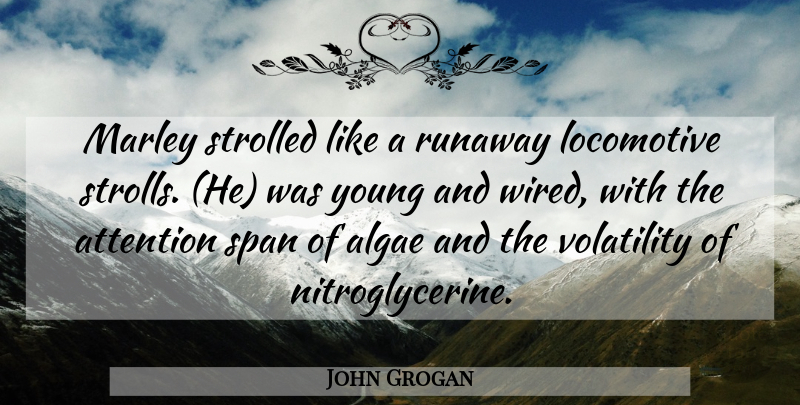 John Grogan Quote About Attention, Marley, Span, Volatility: Marley Strolled Like A Runaway...
