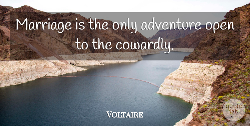 Voltaire Quote About Marriage, Humorous, Being Single: Marriage Is The Only Adventure...