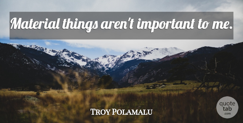 Troy Polamalu Quote About Important, Materials, Material Things: Material Things Arent Important To...