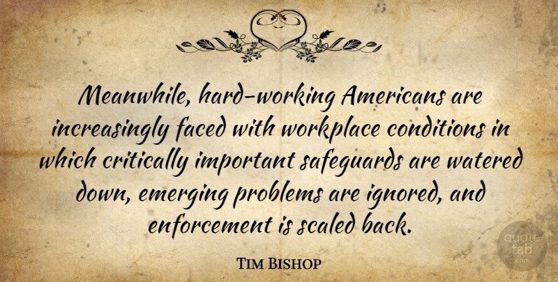 Tim Bishop Quote About Hard Work, Safety, Important: Meanwhile Hard Working Americans Are...