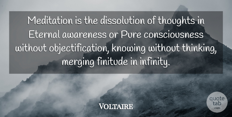 Voltaire Quote About Yoga, Thinking, Meditation Practice: Meditation Is The Dissolution Of...