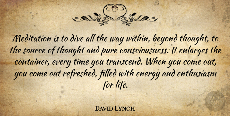 David Lynch Quote About Enthusiasm For Life, Meditation, Way: Meditation Is To Dive All...