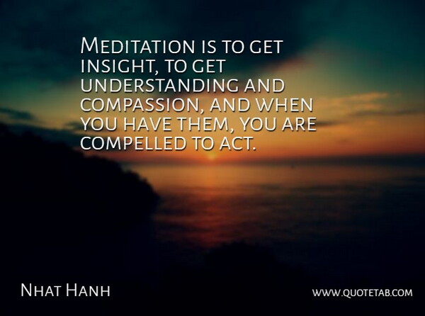 Nhat Hanh Quote About Compassion, Meditation, Understanding: Meditation Is To Get Insight...