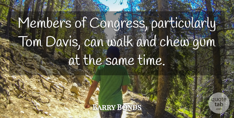 Barry Bonds Quote About Chew, Congress, Gum, Members, Tom: Members Of Congress Particularly Tom...