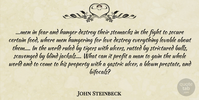 John Steinbeck Quote About Fighting, Men, Bulls: Men In Fear And Hunger...