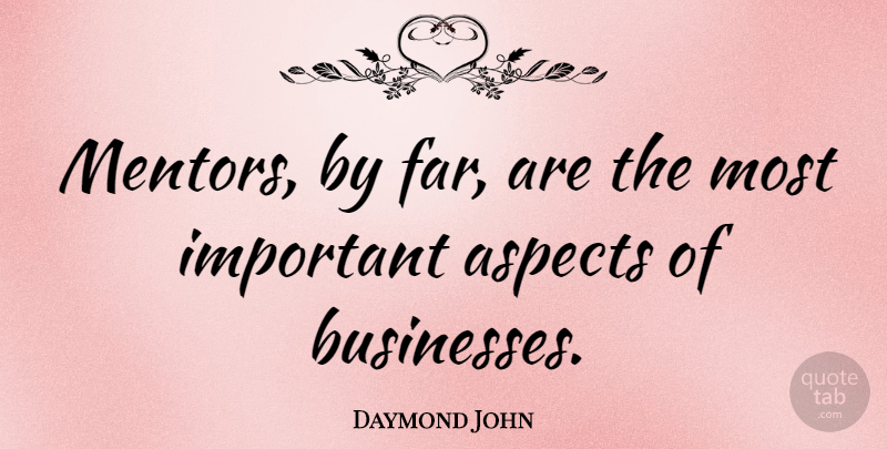 Daymond John Quote About Aspects: Mentors By Far Are The...