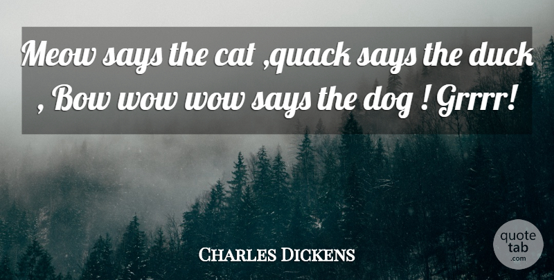 Charles Dickens Quote About Dog, Cat, Ducks: Meow Says The Cat Quack...