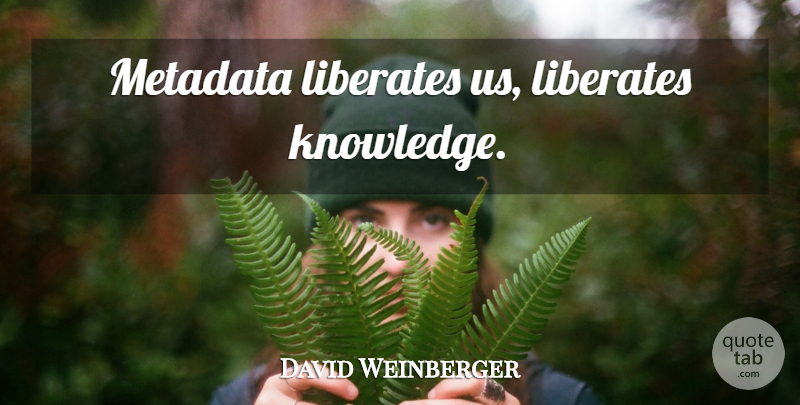 David Weinberger Quote About Metadata: Metadata Liberates Us Liberates Knowledge...