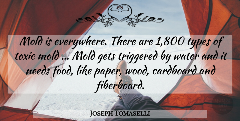 Joseph Tomaselli Quote About Cardboard, Gets, Mold, Needs, Toxic: Mold Is Everywhere There Are...