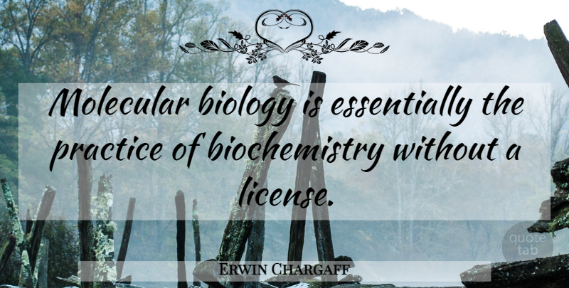 Erwin Chargaff Quote About Practice, Molecular Biology, Biochemistry: Molecular Biology Is Essentially The...