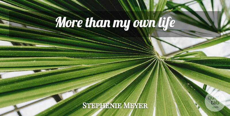 Stephenie Meyer Quote About My Own, My Own Life: More Than My Own Life...