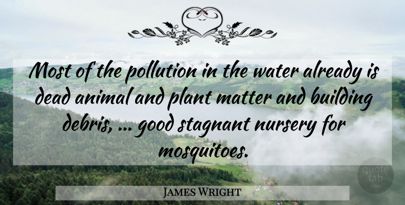 James Wright Quote About Animal, Water, Mosquitoes: Most Of The Pollution In...