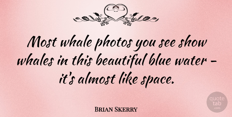 Brian Skerry Quote About Almost, Blue, Photos, Whale, Whales: Most Whale Photos You See...