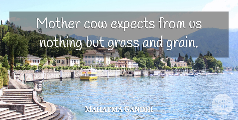 Mahatma Gandhi Quote About Mother, Cows, Grass: Mother Cow Expects From Us...