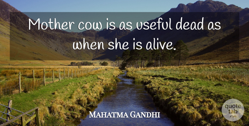 Mahatma Gandhi Quote About Mother, Cows, Alive: Mother Cow Is As Useful...