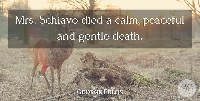 George Felos Quote About Died, Gentle, Peaceful, Schiavo: Mrs Schiavo Died A Calm...