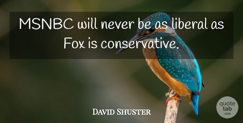 David Shuster Quote About Foxes, Conservative: Msnbc Will Never Be As...
