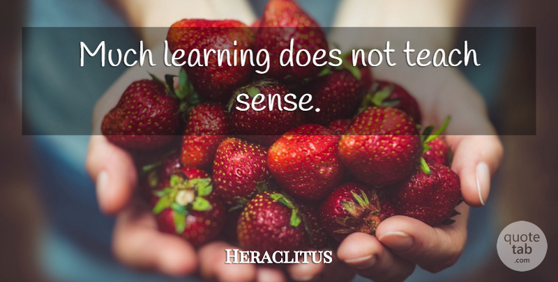 Heraclitus Quote About Doe, Teach: Much Learning Does Not Teach...