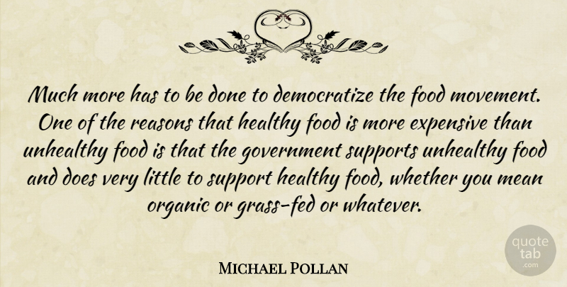 Michael Pollan Quote About Mean, Government, Support: Much More Has To Be...